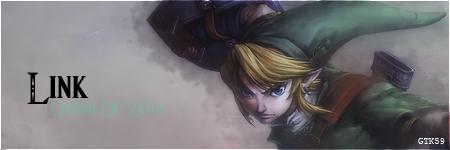 Link: Legend Of Zelda